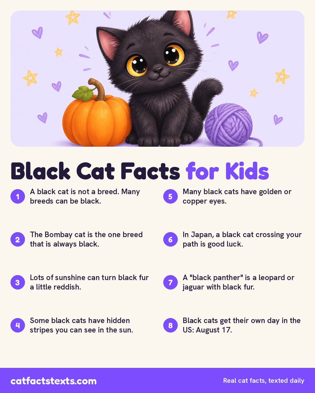 Infographic: fun black cat facts for kids, like the Bombay cat that is always black and black cats bringing good luck in Japan