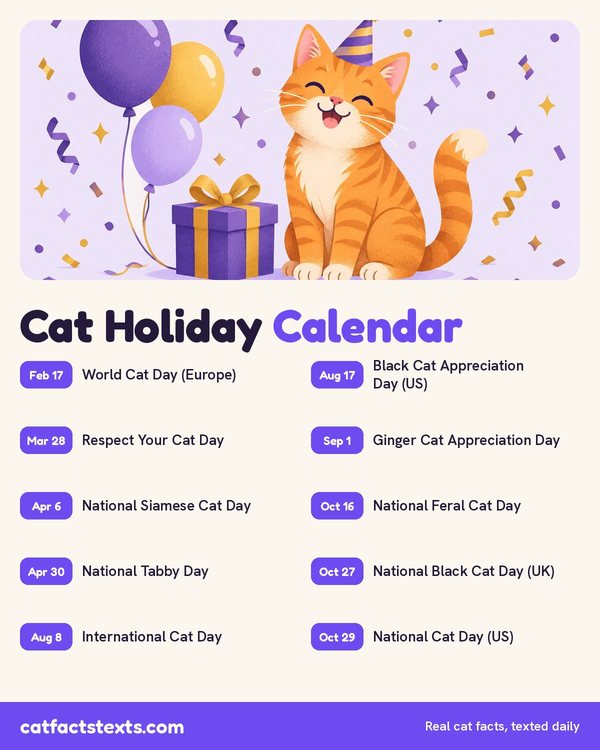 Infographic: cat holiday calendar with 10 dates, including International Cat Day on August 8 and National Cat Day on October 29