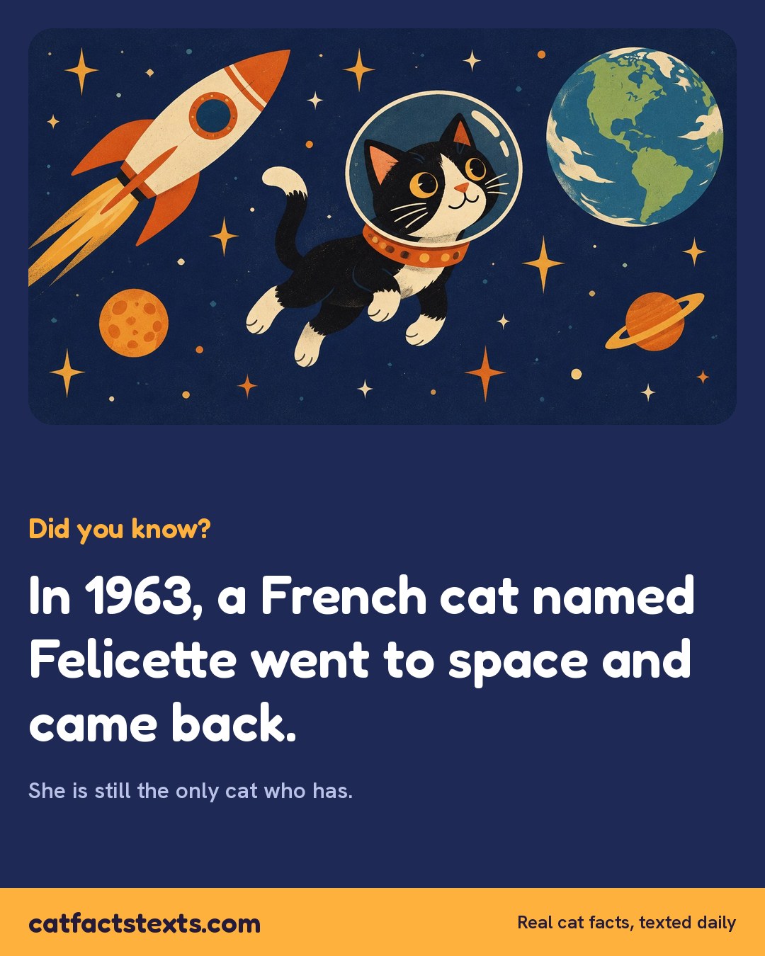 Did you know card: in 1963 a French cat named Felicette went to space and came back
