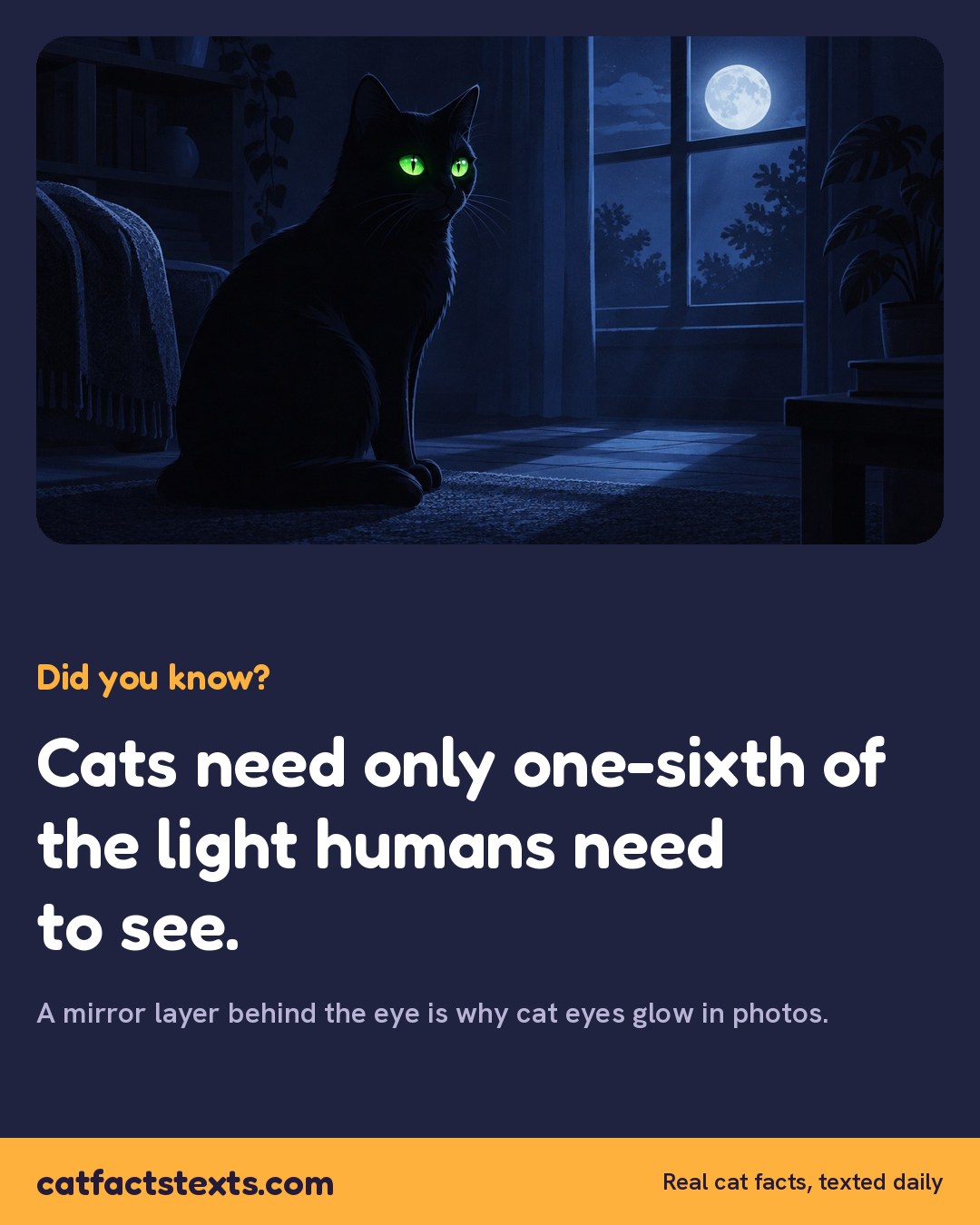 Did you know card: cats need only one-sixth of the light humans need to see