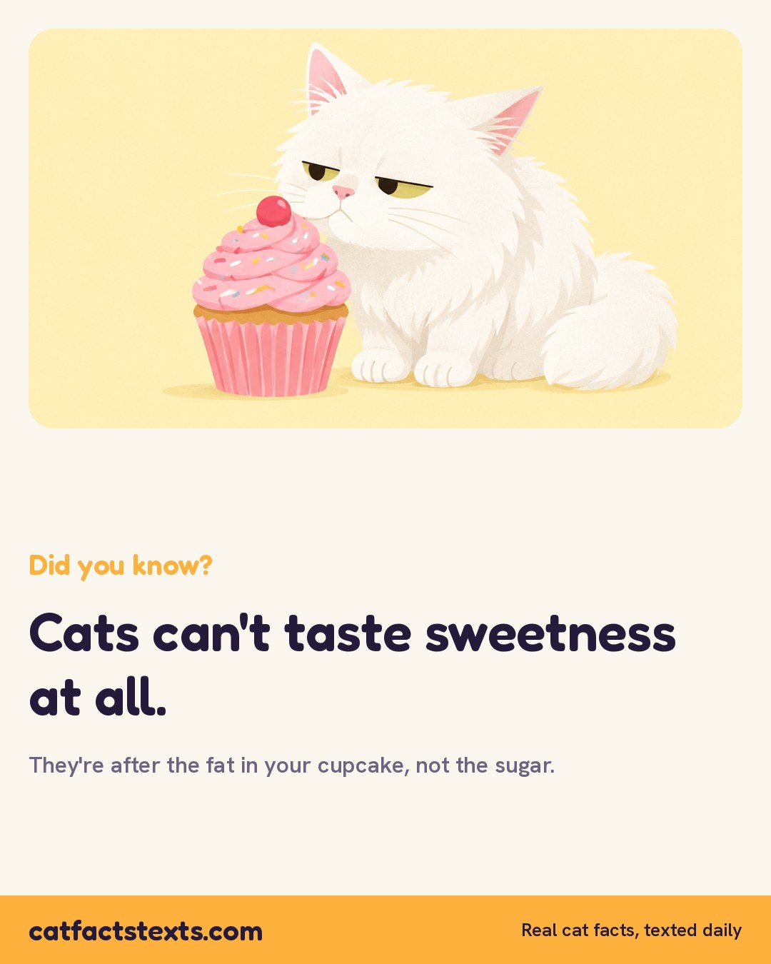 Did you know card: cats cannot taste sweetness at all