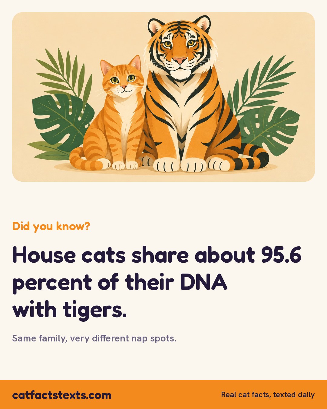 Did you know card: house cats share about 95.6 percent of their DNA with tigers