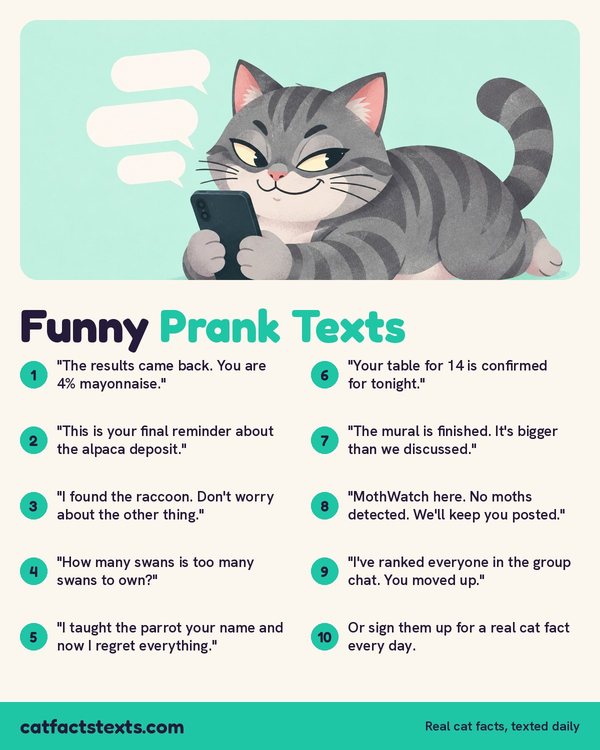 Infographic: 10 funny prank texts to send your friends, like "The results came back. You are 4% mayonnaise."